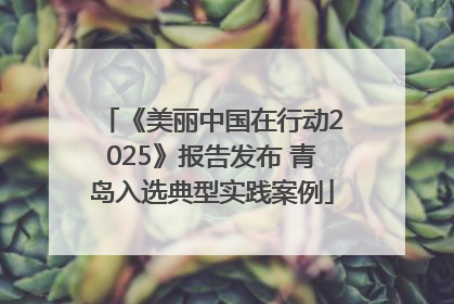 《美丽中国在行动2025》报告发布 青岛入选典型实践案例