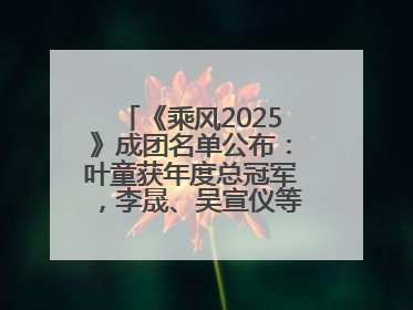 《乘风2025》成团名单公布：叶童获年度总冠军，李晟、吴宣仪等10位姐姐成功成团，陈德容获年度高光人物