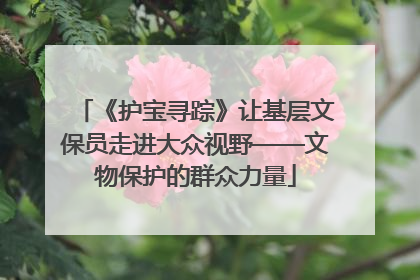 《护宝寻踪》让基层文保员走进大众视野——文物保护的群众力量