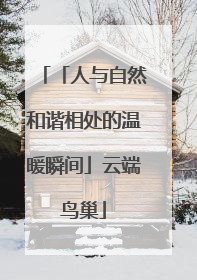 「人与自然和谐相处的温暖瞬间」云端鸟巢