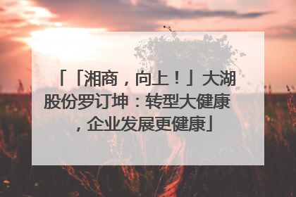 「湘商，向上！」大湖股份罗订坤：转型大健康，企业发展更健康