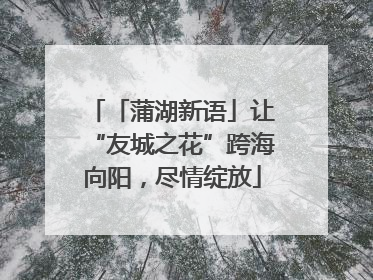 「蒲湖新语」让“友城之花”跨海向阳，尽情绽放