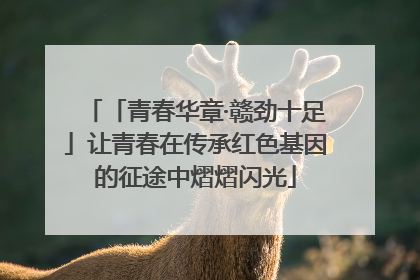 「青春华章·赣劲十足」让青春在传承红色基因的征途中熠熠闪光