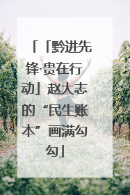 「黔进先锋·贵在行动」赵大志的“民生账本”画满勾勾