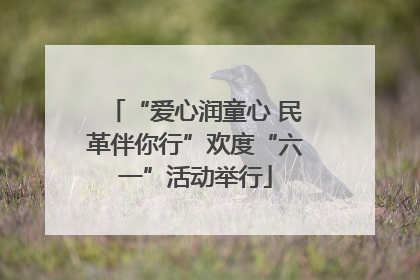 “爱心润童心 民革伴你行”欢度“六一”活动举行