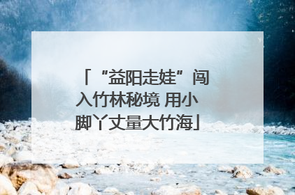 “益阳走娃”闯入竹林秘境 用小脚丫丈量大竹海
