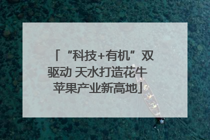 “科技+有机”双驱动 天水打造花牛苹果产业新高地