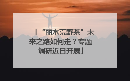 “丽水荒野茶”未来之路如何走？专题调研近日开展