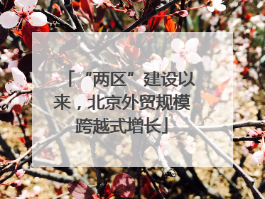 “两区”建设以来，北京外贸规模跨越式增长