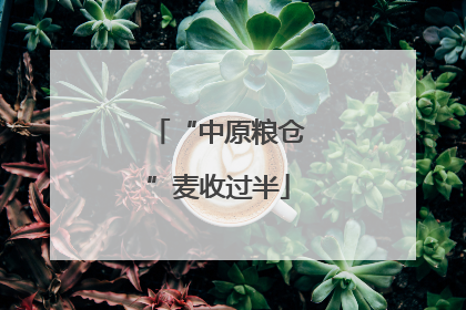 “中原粮仓”麦收过半
