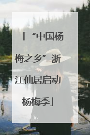 “中国杨梅之乡”浙江仙居启动杨梅季