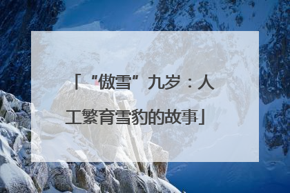 “傲雪”九岁：人工繁育雪豹的故事
