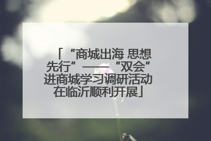 “商城出海 思想先行”——“双会”进商城学习调研活动在临沂顺利开展
