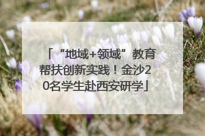 “地域+领域”教育帮扶创新实践！金沙20名学生赴西安研学
