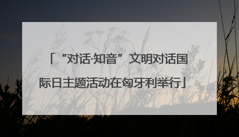 “对话·知音”文明对话国际日主题活动在匈牙利举行