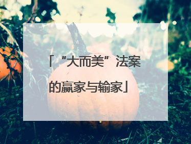 “大而美”法案的赢家与输家