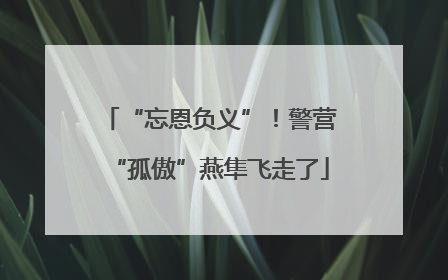 “忘恩负义”！警营“孤傲”燕隼飞走了