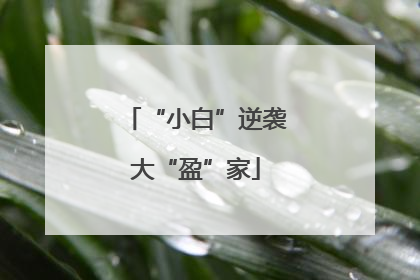“小白”逆袭大“盈”家