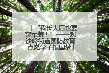 “我长大后也要穿军装！”——观沙岭街道国防教育点燃学子报国梦