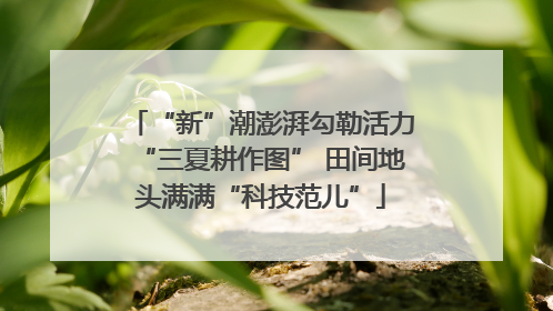 “新”潮澎湃勾勒活力“三夏耕作图” 田间地头满满“科技范儿”