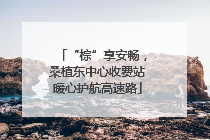 “棕”享安畅，桑植东中心收费站暖心护航高速路