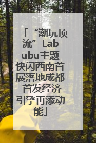 “潮玩顶流”Labubu主题快闪西南首展落地成都 首发经济引擎再添动能