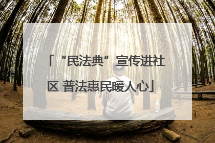 “民法典”宣传进社区 普法惠民暖人心