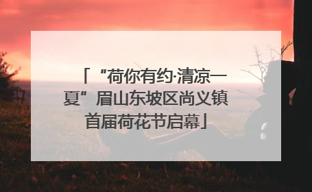“荷你有约·清凉一夏”眉山东坡区尚义镇首届荷花节启幕