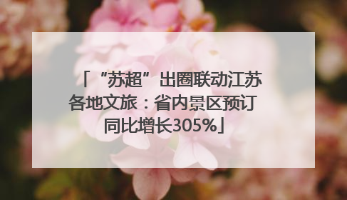 “苏超”出圈联动江苏各地文旅：省内景区预订同比增长305%