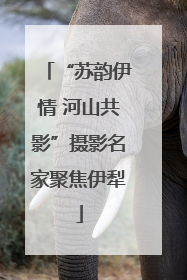 “苏韵伊情 河山共影”摄影名家聚焦伊犁