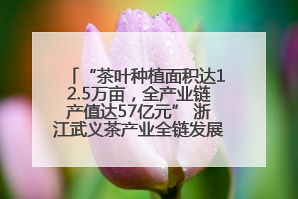 “茶叶种植面积达12.5万亩，全产业链产值达57亿元” 浙江武义茶产业全链发展“加速度”