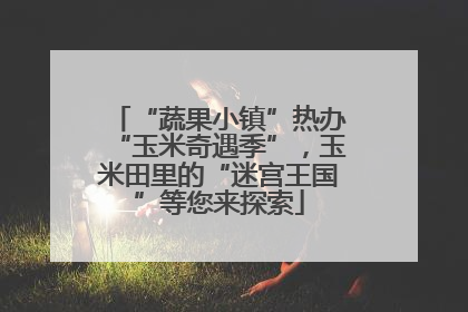 “蔬果小镇”热办“玉米奇遇季”，玉米田里的“迷宫王国”等您来探索