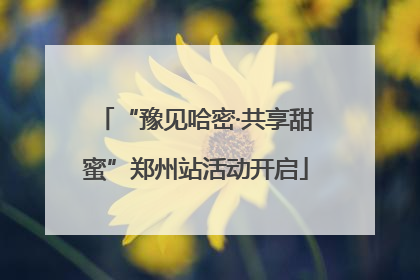 “豫见哈密·共享甜蜜”郑州站活动开启