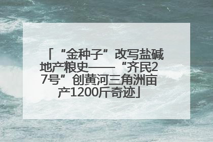 “金种子”改写盐碱地产粮史——“齐民27号”创黄河三角洲亩产1200斤奇迹