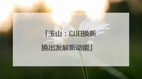 玉山：以旧换新换出发展新动能
