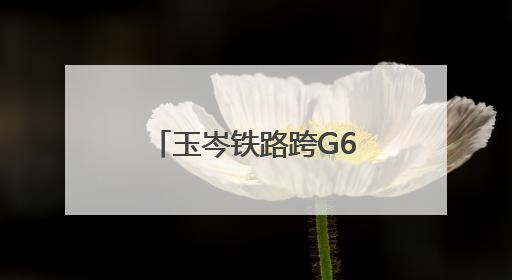 玉岑铁路跨G65包茂高速特大桥系杆拱主体完工