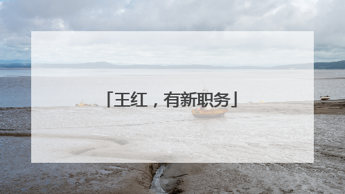 王红，有新职务