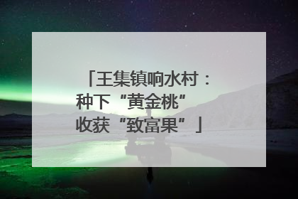 王集镇响水村：种下“黄金桃” 收获“致富果”