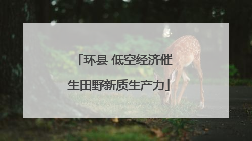 环县 低空经济催生田野新质生产力