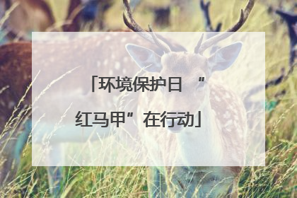 环境保护日 “红马甲”在行动