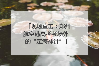 现场直击：郑州航空港高考考场外的“定海神针”