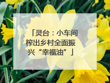 灵台：小车间榨出乡村全面振兴“幸福油”