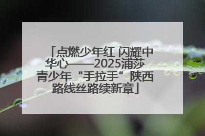 点燃少年红 闪耀中华心——2025浦莎青少年“手拉手”陕西路线丝路续新章