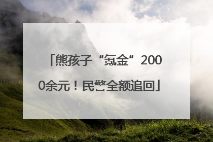 熊孩子“氪金”2000余元！民警全额追回