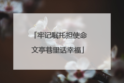牢记嘱托担使命 文亭巷里话幸福