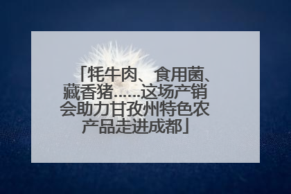 牦牛肉、食用菌、藏香猪……这场产销会助力甘孜州特色农产品走进成都