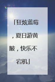 狂炫蓝莓，夏日游黄陂，快乐不宕机
