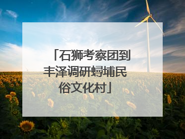石狮考察团到丰泽调研蟳埔民俗文化村