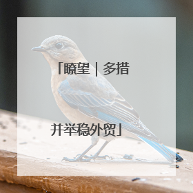 瞭望｜多措并举稳外贸