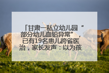 甘肃一私立幼儿园“部分幼儿血铅异常”，已有19名患儿跨省医治，家长发声：以为孩子出问题，没想过会与学校有关